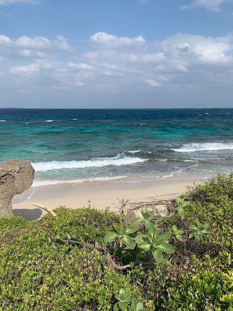 久高島|ゆいまーる｜沖縄の那覇を中心とした観光・グルメ・ランチ・パワースポット情報