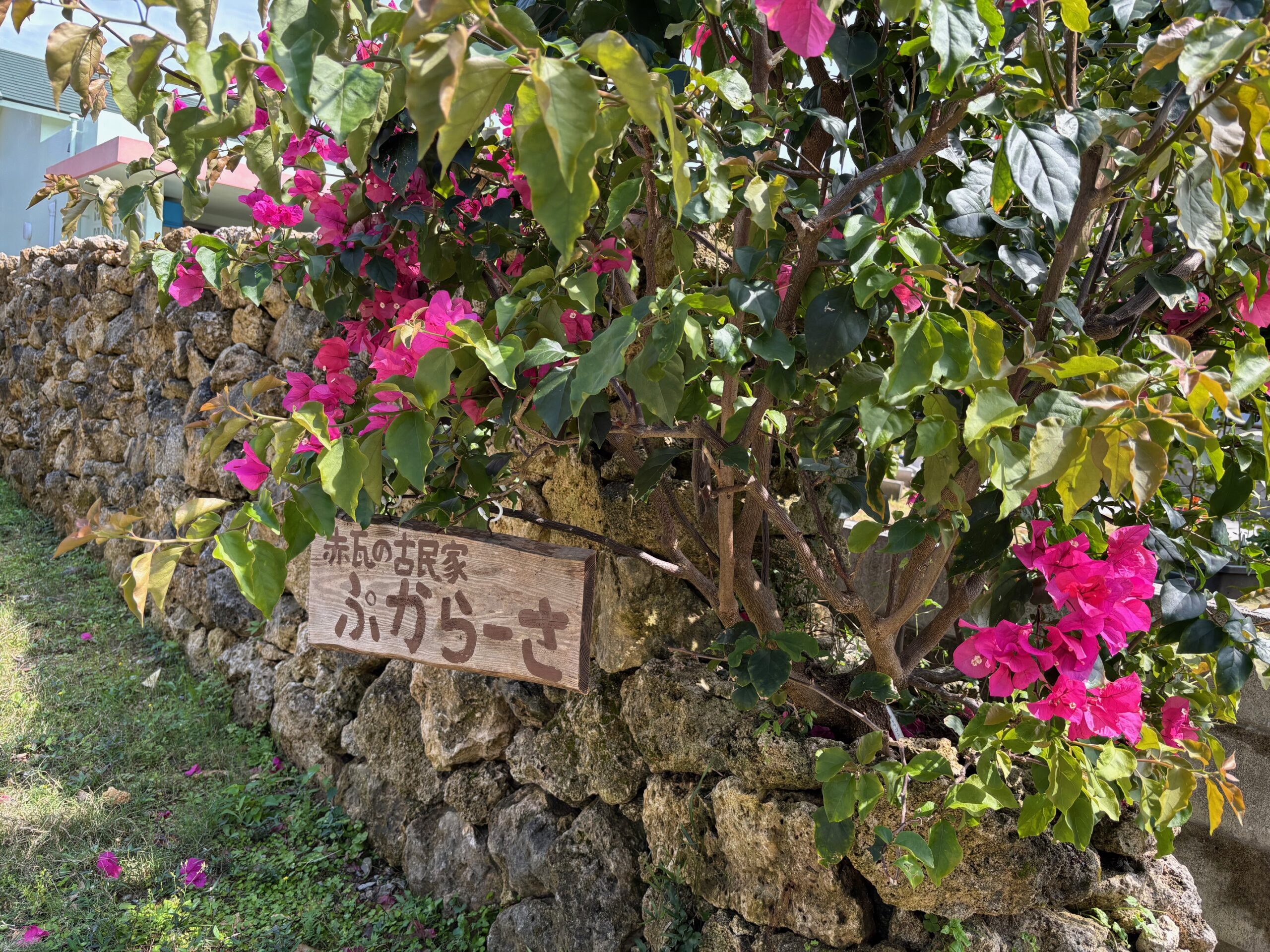 ゆいまーる|沖縄の那覇を中心とした観光・グルメ・ランチ・パワースポット情報