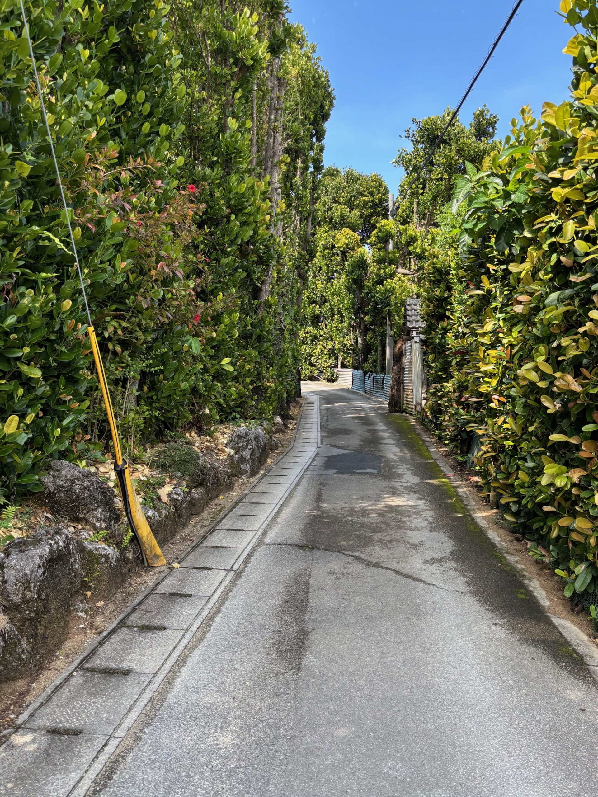 ゆいまーる|沖縄の那覇を中心とした観光・グルメ・ランチ・パワースポット情報